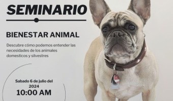ZOONOSIS BRINDAR UN SEMINARIO SOBRE BIENESTAR ANIMAL